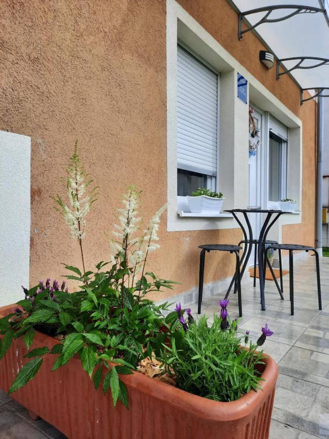 Apartmani Venium Križevci Eksteriør billede