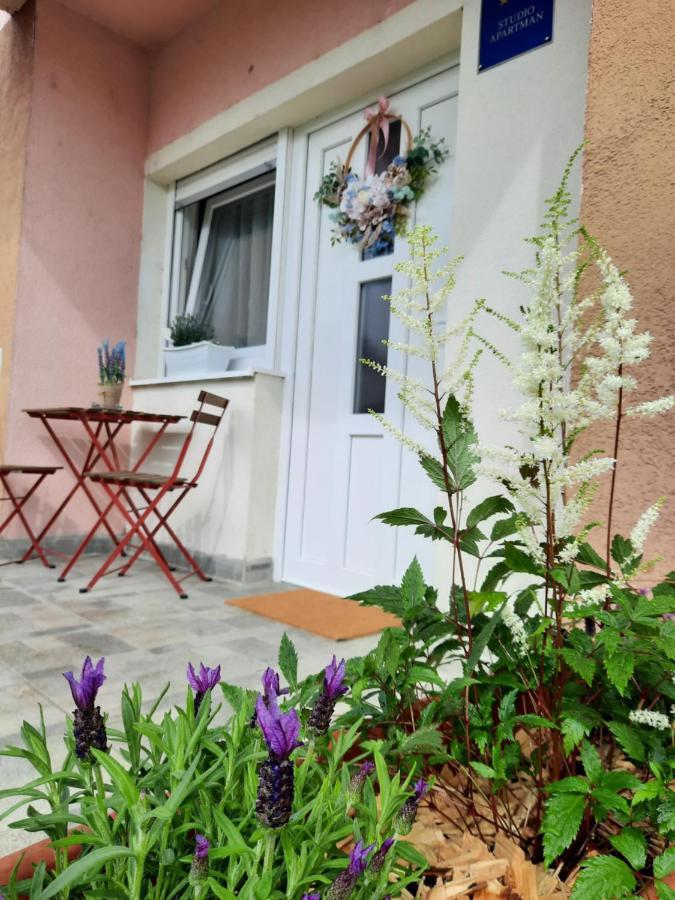 Apartmani Venium Križevci Eksteriør billede
