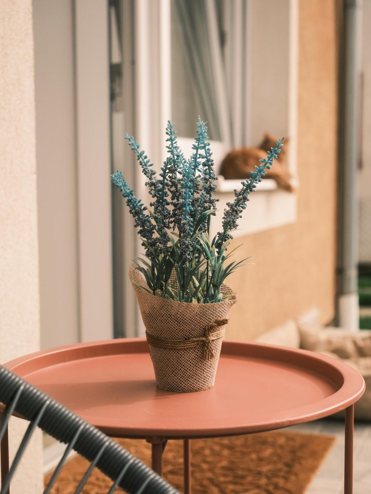 Apartmani Venium Križevci Eksteriør billede